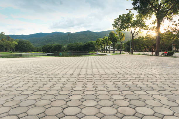 Best Concrete Paver Driveway  in Worth, IL