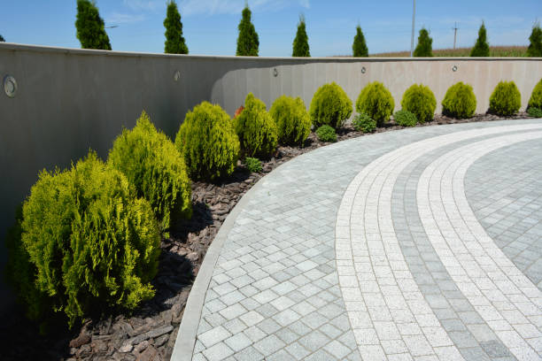Reasons to Select Us for Your Driveway Paving Requirements in Worth, IL